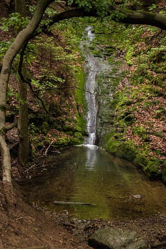 Chute d'eau à Ninglinspo dans les Ardennes