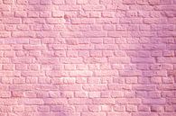 Rosa Ziegelmauer von Evelien Oerlemans Miniaturansicht