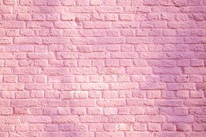 Mur de briques roses
