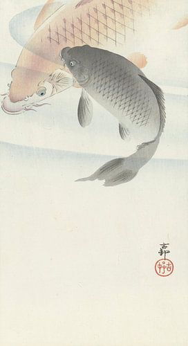 Zwei Karpfen von Ohara Koson