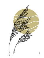 Waving reeds