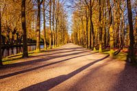 Landgoed Groeneveld