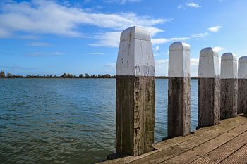 Lijnen in de haven van Enkhuizen