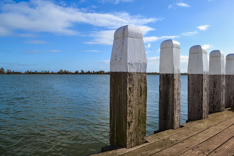 Lines in Enkhuizen harbour by Marianne Eggink - Photography and digital art