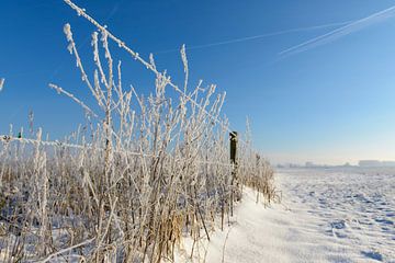 IJsseldelta winterlandschap met sneeuw en mist van Sjoerd van der Wal