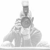 Gino van den Broecke Profilfoto