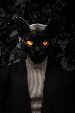 Cat Man van Jonas Potthast