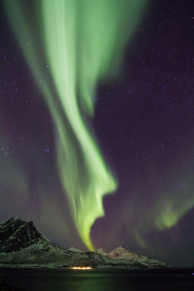 Northern Lights, Grøtfjord von Freek van den Driesschen