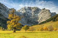 Großer Ahornboden in Österreich im Herbst von Michael Valjak Miniaturansicht
