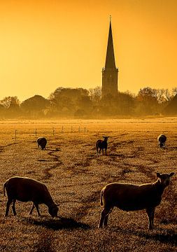 Landschap met schapen, Tzum, Nederland. van Jaap Bosma Fotografie