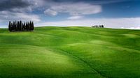La colline verte de la Toscane au printemps par Rene Siebring Aperçu