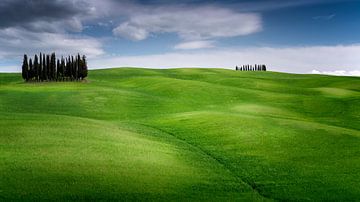 De groene heuvel van Toscane in de lente