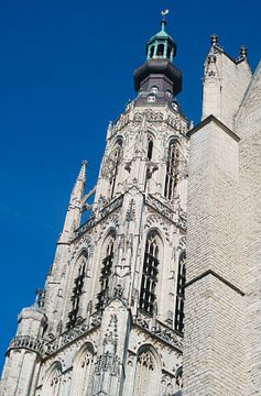 De Grote Kerk in Breda van san sober