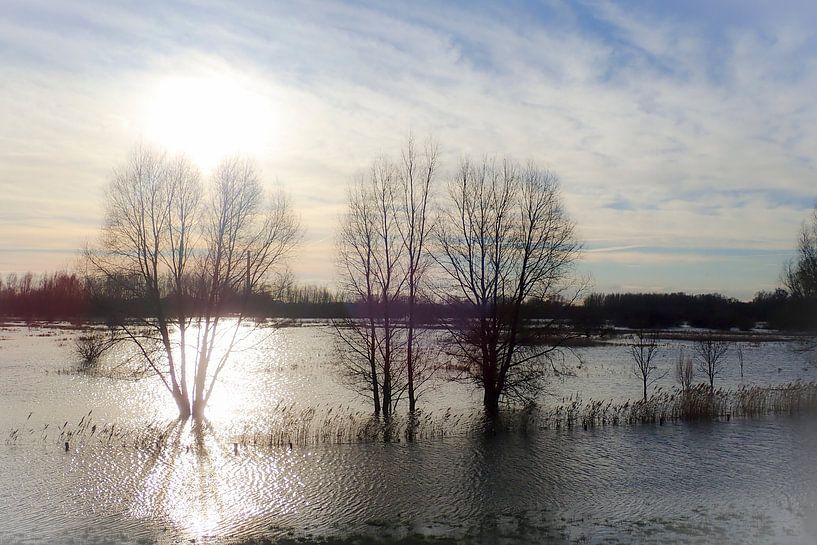 High tide colour by Dagmar van Nieuwpoort