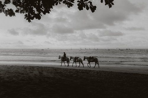 Strand Costa Rica Pferde schwarz und weiß zottelig