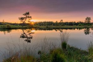 Nat Veluwe