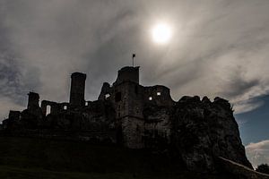 Le château d'ogrodzieniec en Pologne