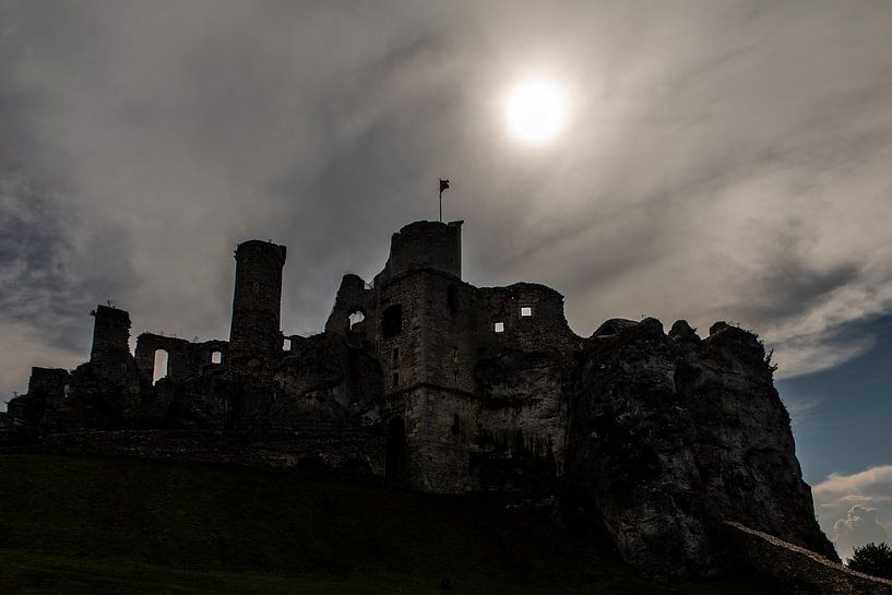 ogrodzieniec castle in Poland by Eric van Nieuwland