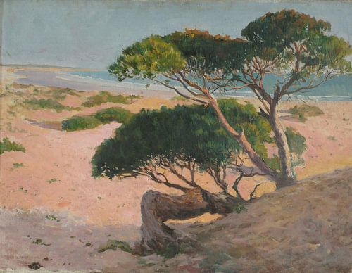 Felipe Abarzuza-Het Barrosa strand