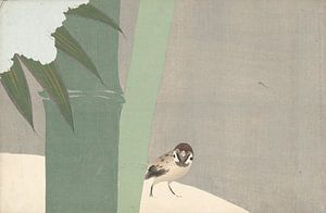 Bambus im Schnee von Kamisaka Sekka, 1909