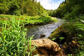 Wutachschlucht, Deutschland von Jörg Hausmann