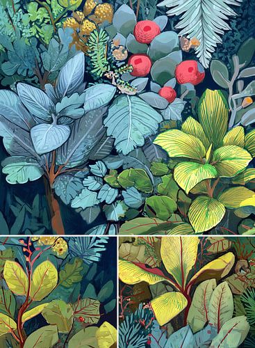 illustration de plantes de jardin