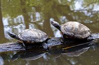 Der langsamste Stau aller Zeiten