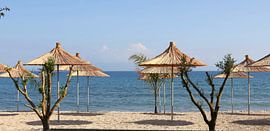 Sonnenschirme an einem leeren Strand von Angela Seubring