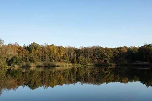 Tijdens wandelen in Oirschot met de herfst