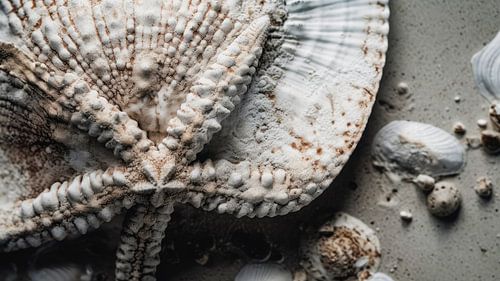 Beach Impressions No 49