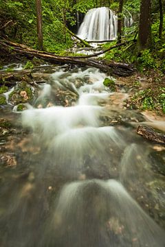 hidden mountain stream with waterfall on the Swabian Alb by Jiri Viehmann
