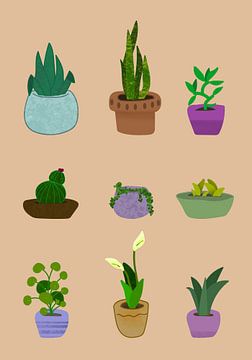 botanische Zeichnung von verschiedenen Pflanzen von Bianca van Dijk