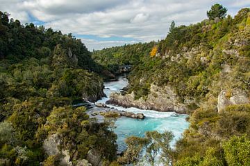 Aratiatia Rapids, Taupo, Nieuw Zeeland van Nynke Altenburg