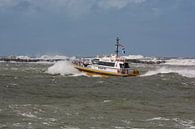 Pilotez la vedette Lacerta à travers les vagues agitées d'IJmuiden. par scheepskijkerhavenfotografie Aperçu