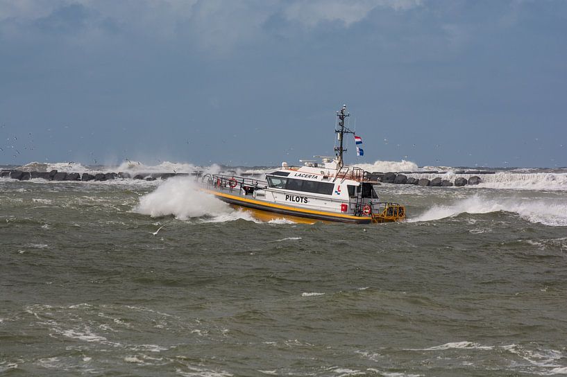 Pilotez la vedette Lacerta à travers les vagues agitées d'IJmuiden. par scheepskijkerhavenfotografie