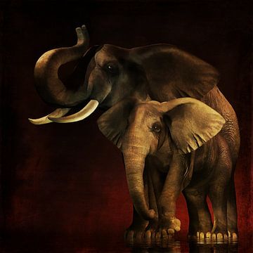 Règne animal –Éléphants mère et enfant sur Jan Keteleer
