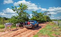 Typical scene on a sand road in Paraguay by Jan Schneckenhaus thumbnail