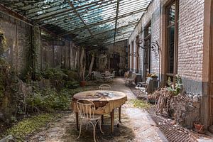 Terrasse abandonnée qui est en train d'être reprise par la nature.