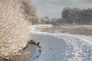 Drentsche Aa im Winter
