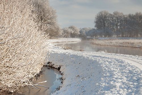 Drentsche Aa in the winter by Karla Leeftink