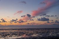 Waddenzee bij Westhoek