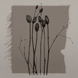 Minimal Art: Raffinierte botanische Strichzeichnung auf Leinen-Textur
