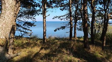 Lakeshore sur Bo Valentino