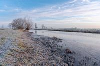 Winter in the Alblasserwaard