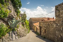Straatje in Roccolbegna sur Anneke Hooijer
