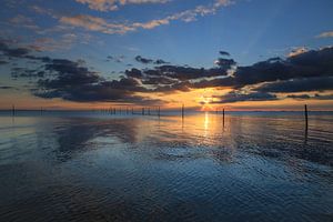 IJsselmeer mit Fallenstangen