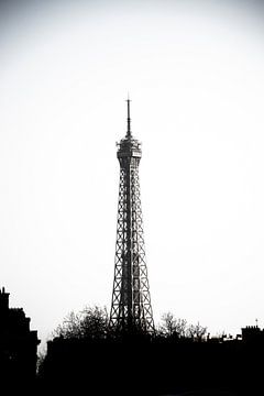 Stalen structuur in contrast: de Eiffeltoren in zwart-wit van Ingrid de Vos - Boom