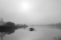 Spiegel des Nebels 1