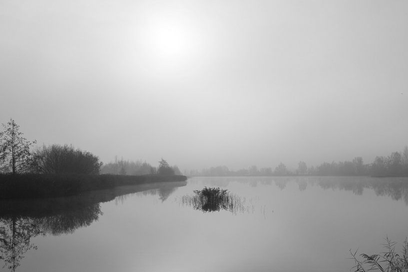 Spiegel van Mist 1 van Stef & Scene