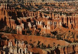 Bryce Canyon by Matthias Brix